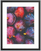 Les Figues