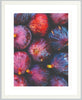 Les Figues