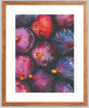 Les Figues