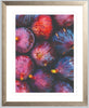 Les Figues