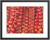 Les Tomates