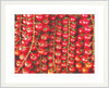 Les Tomates