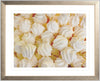 Meringue