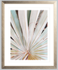 Albino Palm