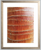 Palm Bark Detail